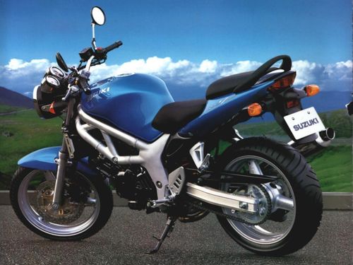 Suzuki fodero forcella sx SV650 1999